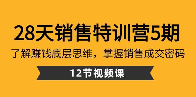 28天销售特训营5期：了解赚钱底层思维，掌握销售成交密码（12节课）-乐码云集