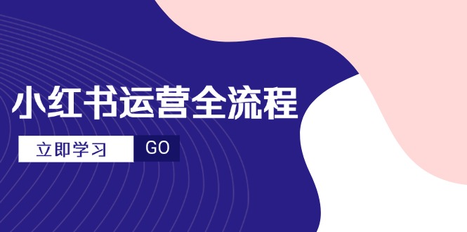 小红书运营全流程，爆款选题文案，视频制作技巧，进阶达人宝典-乐码云集