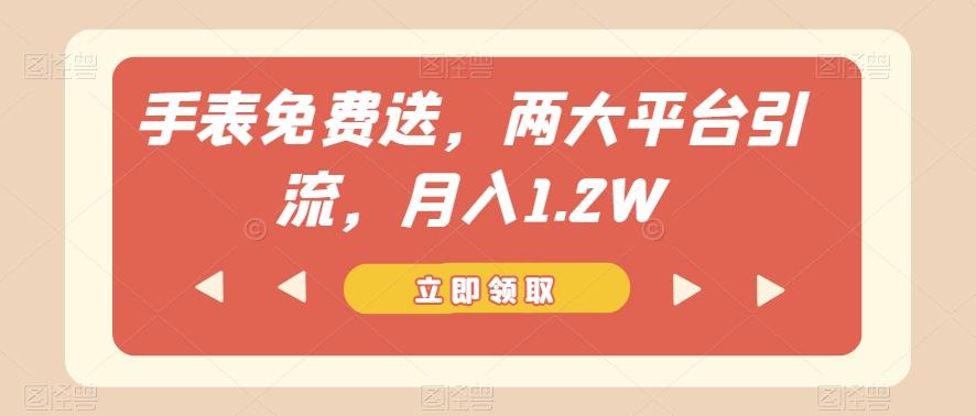 手表免费送，两大平台引流，月入1.2W【揭秘】-乐码云集