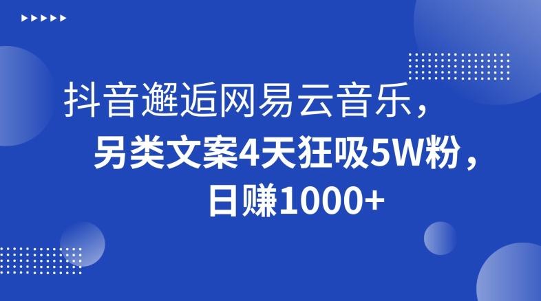 抖音邂逅网易云音乐，另类文案4天狂吸5W粉，日赚1000+【揭秘】-乐码云集