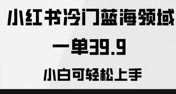 小红书冷门蓝海领域，一单39.9，小白可轻松上手-乐码云集