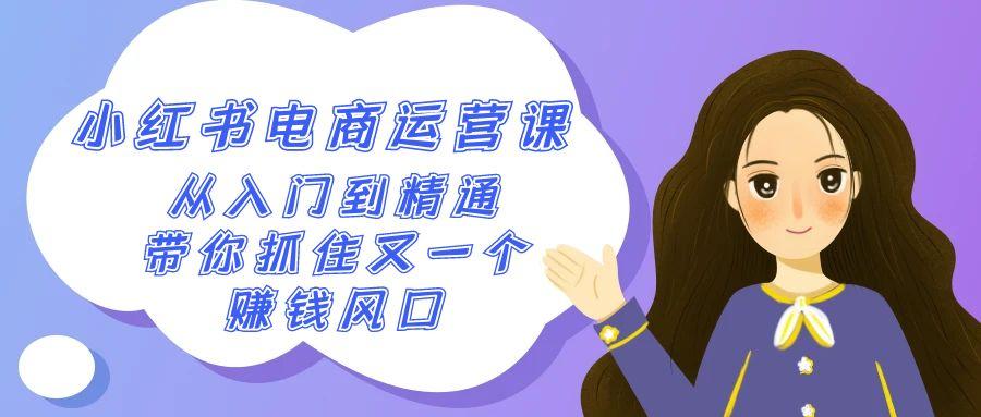 2024小红书电商运营课，从入门到精通，带你抓住又一个赚钱风口(50节课)-乐码云集