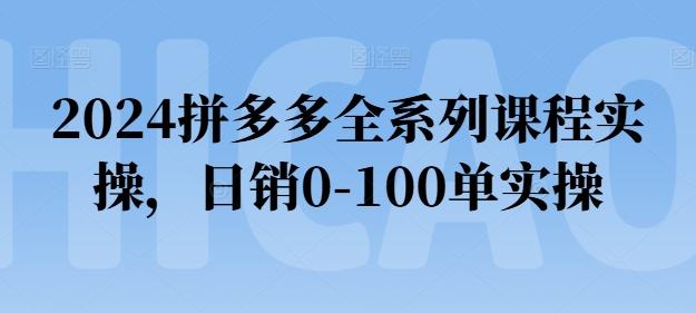 2024拼多多全系列课程实操，日销0-100单实操【必看】-乐码云集