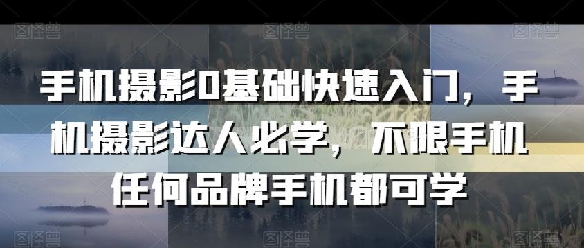 手机摄影0基础快速入门，手机摄影达人必学，不限手机任何品牌手机都可学-乐码云集