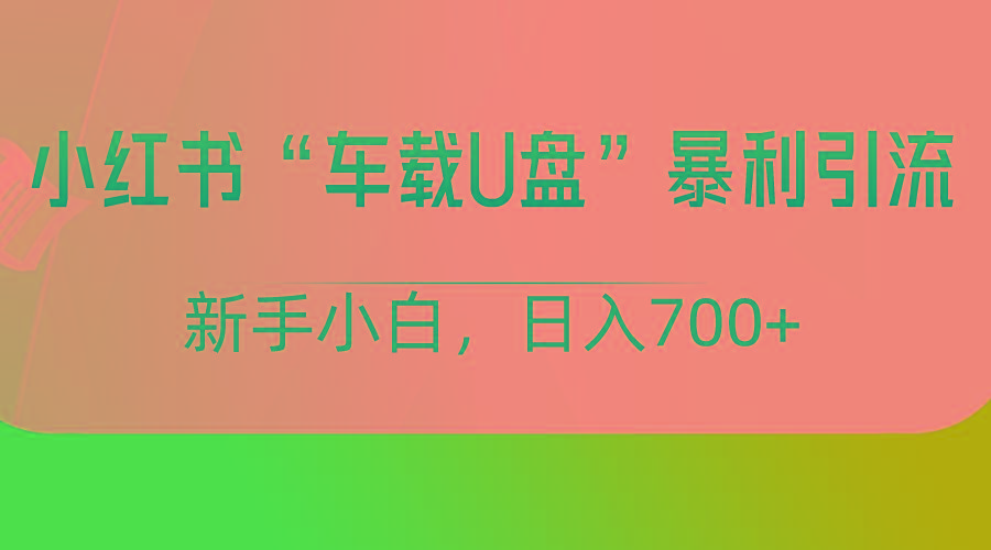 小红书“车载U盘”项目，暴利引流，新手小白轻松日入700+-乐码云集