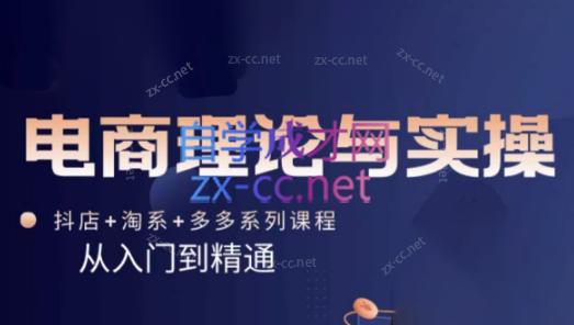 磊子·电商理论与实操(抖店+淘系+拼多多)-乐码云集