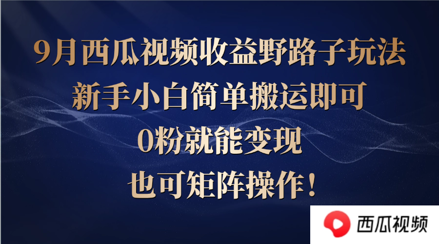 西瓜视频收益野路子玩法，新手小白简单搬运即可，0粉就能变现，也可矩…-乐码云集