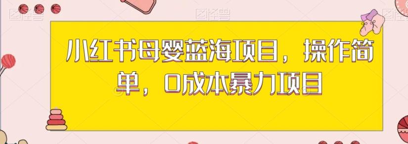 小红书母婴蓝海项目，操作简单，0成本暴力项目-乐码云集