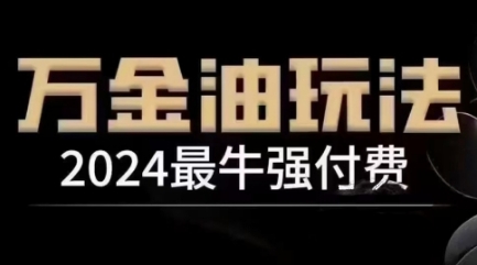 2024最牛强付费，万金油强付费玩法，干货满满，全程实操起飞(更新25年04月)-乐码云集