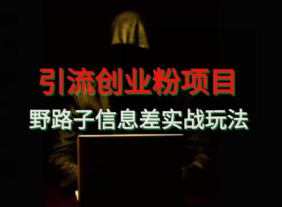 【引流创业粉】野路子信息差玩法实战教学-乐码云集