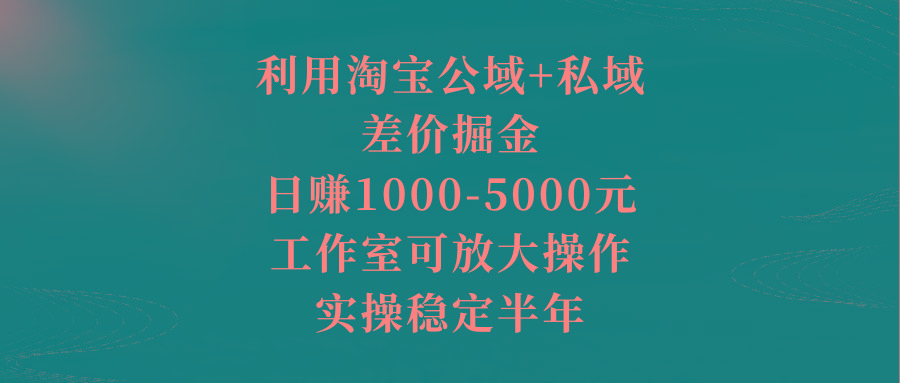 利用淘宝公域+私域差价掘金，日赚1000-5000元，工作室可放大操作，实操…-乐码云集