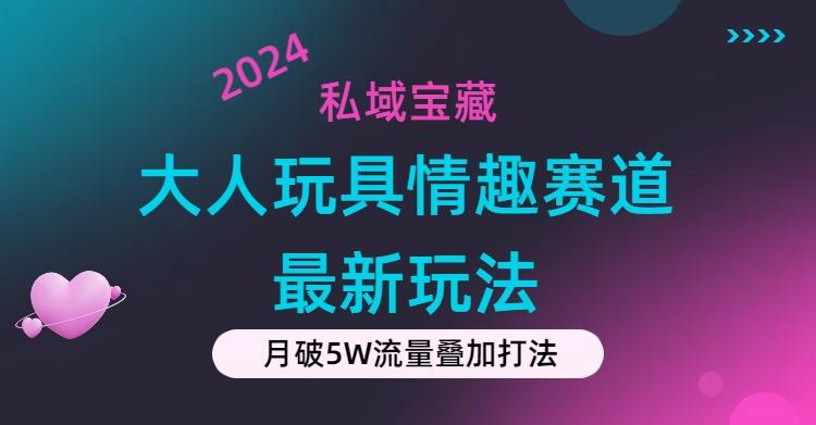 私域宝藏：大人玩具情趣赛道合规新玩法，零投入，私域超高流量成单率高-乐码云集