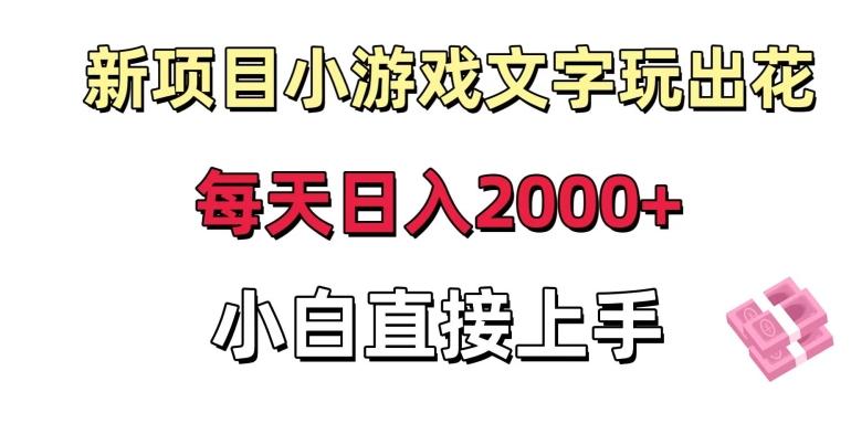 新项目小游戏文字玩出花日入2000+，每天只需一小时，小白直接上手【揭秘】-乐码云集