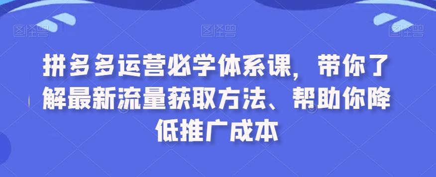 拼多多运营必学体系课，带你了解最新流量获取方法、帮助你降低推广成本-乐码云集