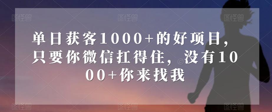 单日获客1000+的好项目，只要你微信扛得住，没有1000+你来找我【揭秘】-乐码云集