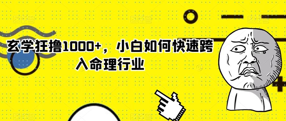 玄学狂撸1000+，小白如何快速跨入命理行业-乐码云集