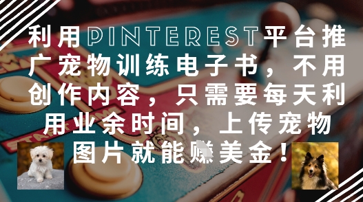 利用Pinterest平台推广宠物训练电子书，不用创作内容，只需要每天利用业余时间，上传宠物图片就能挣美金!-乐码云集