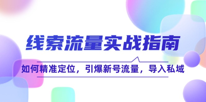 线 索 流 量-实战指南：如何精准定位，引爆新号流量，导入私域-乐码云集