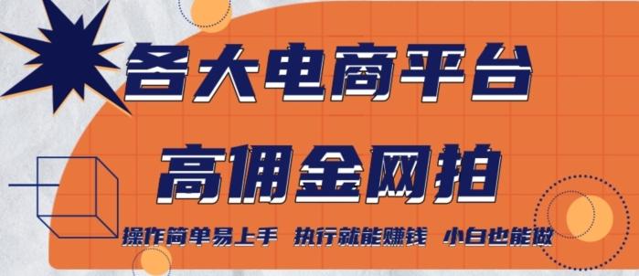 各大电商平台高佣金网拍，操作简单易上手，执行就能赚钱，小白也能做-乐码云集
