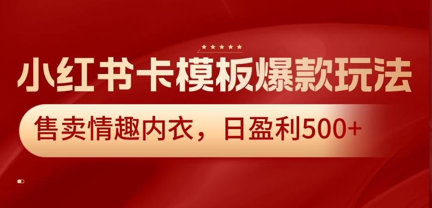 小红书卡模板爆款玩法，售卖情趣内衣，日盈利500+【揭秘】-乐码云集