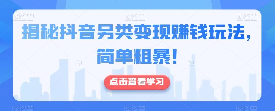 揭秘抖音另类变现赚钱玩法，简单粗暴！-乐码云集
