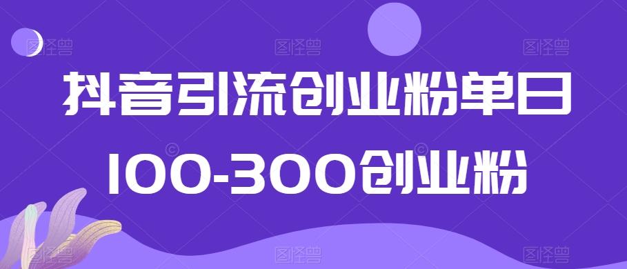 抖音引流创业粉单日100-300创业粉【揭秘】-乐码云集