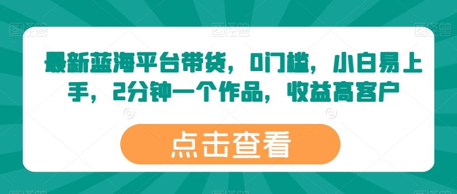 最新蓝海平台带货，0门槛，小白易上手，2分钟一个作品，收益高【揭秘】-乐码云集