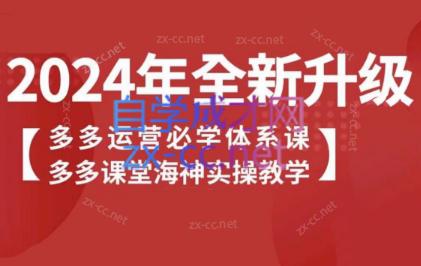 海神老师·拼多多运营必学体系课-乐码云集