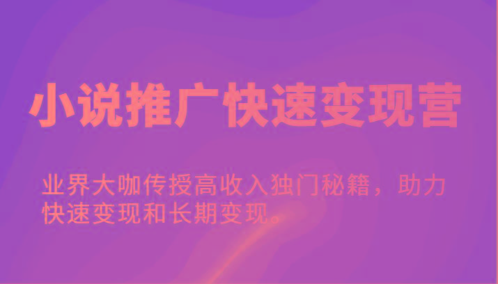 小说推广快速变现营-业界大咖传授高收入独门秘籍，助力快速变现和长期变现。-乐码云集