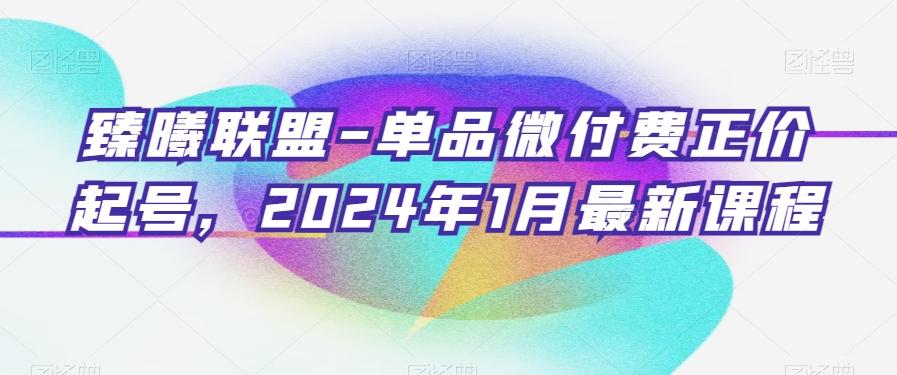 臻曦联盟-单品微付费正价起号，2024年1月最新课程-乐码云集