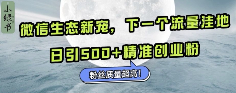 微信生态新宠小绿书：下一个流量洼地，日引500+精准创业粉，粉丝质量超高-乐码云集