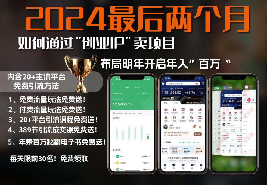2024最后两个月如何通过”创业IP“卖项目年入”百万“,创业IP+最强引流…-乐码云集