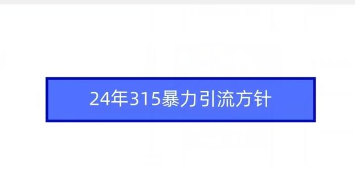24年315暴力引流方针-乐码云集