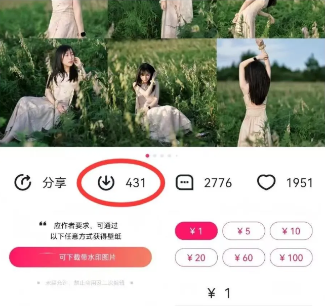 最新图虫搬运项目,收益无上限,利用AI小白也可日赚500+-乐码云集