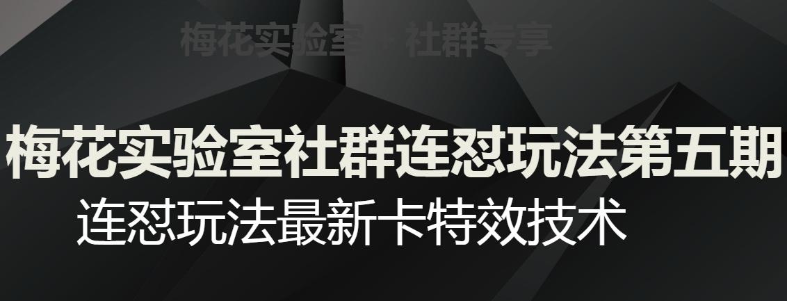 梅花实验室社群连怼玩法第五期，视频号连怼玩法最新卡特效技术-乐码云集