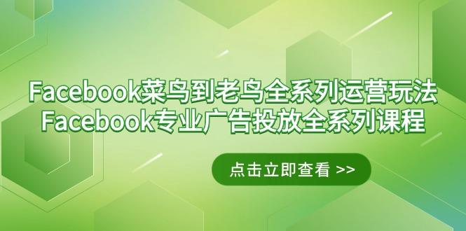 Facebook-菜鸟到老鸟全系列运营玩法+Facebook-专业广告投放全系列课程-乐码云集