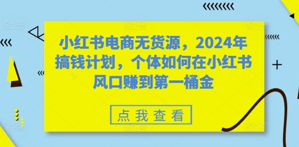 小红书电商无货源，2024年搞钱计划，个体如何在小红书风口赚到第一桶金-乐码云集