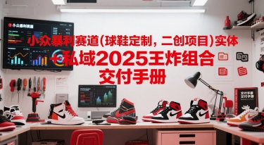 小众暴利赛道(球鞋定制，二创项目)实体+私域2025王炸组合  交付手册-乐码云集