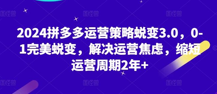2024拼多多运营策略蜕变3.0，0-1完美蜕变，解决运营焦虑，缩短运营周期2年+-乐码云集