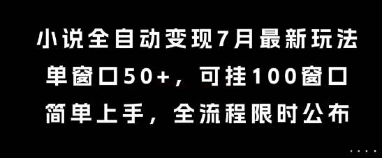 小说全自动变现7月玩法，单窗口50+，可挂100窗口，简单上手，全流程限时公布【揭秘】-乐码云集