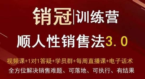 爆款！销冠训练营3.0之顺人性销售法，全方位解决销售难题、可落地、可执行、有结果-乐码云集