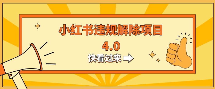 小红书违规掘金蓝海项目，日入800+（附带引流办法及解除办法）-乐码云集
