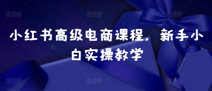 小红书高级电商课程，新手小白实操教学-乐码云集