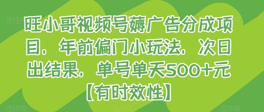 旺小哥视频号薅广告分成项目，年前偏门小玩法，次日出结果，单号单天500+元【有时效性】-乐码云集