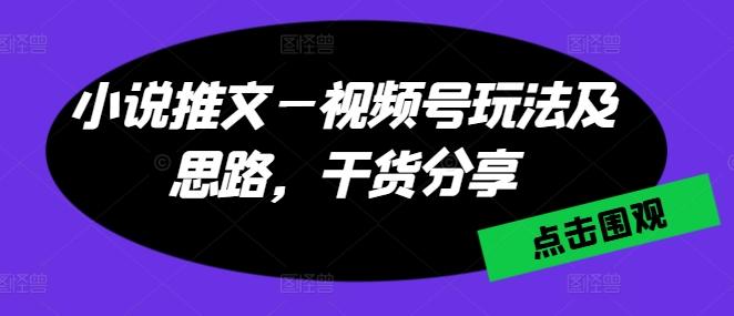 小说推文—视频号玩法及思路，干货分享-乐码云集