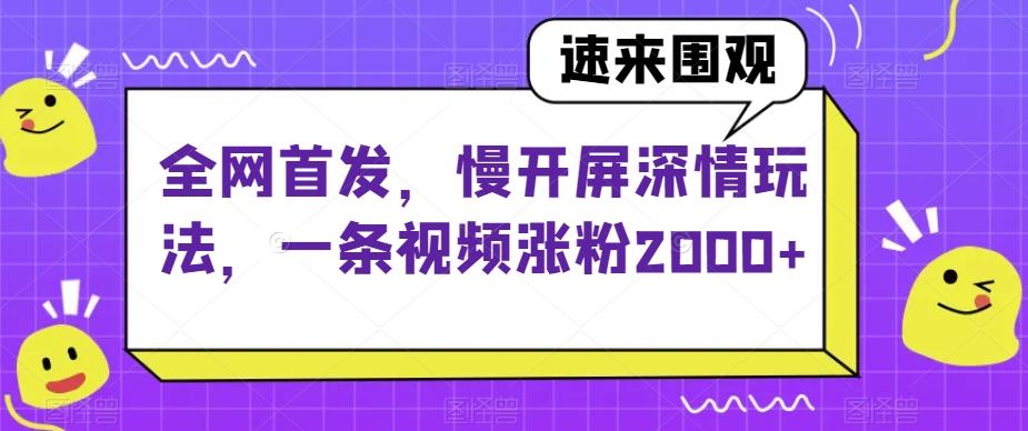 全网首发，慢开屏深情玩法，一条视频涨粉2000+【揭秘】-乐码云集