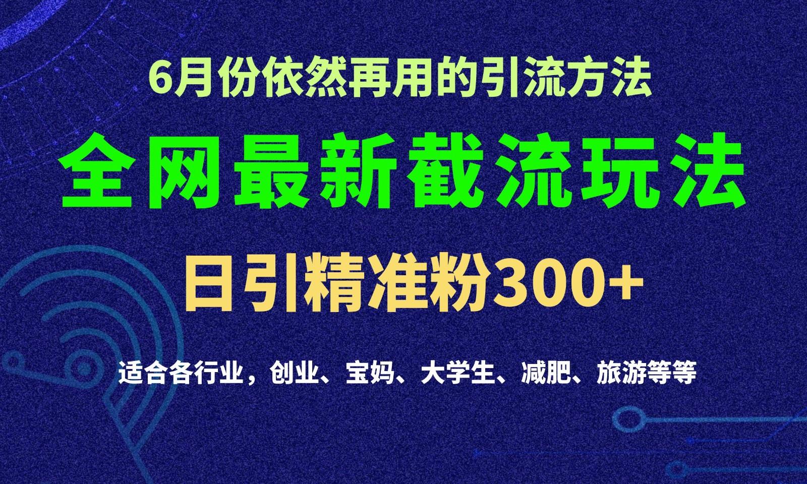 2024全网最新截留玩法,每日引流突破300+-乐码云集
