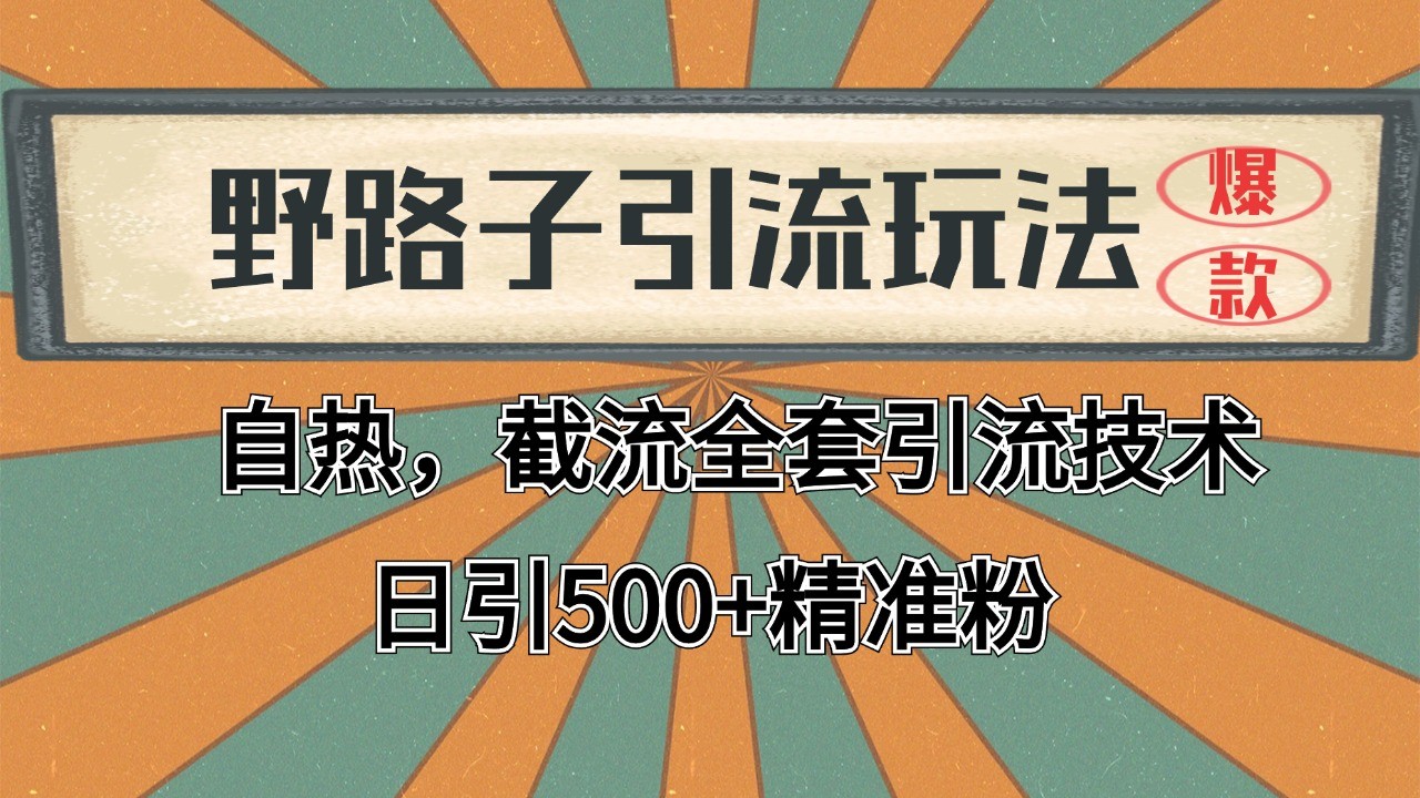 2024首发野路子引流玩法截流自热全平台打法，全自动引流【日引2000+精准客户】-乐码云集