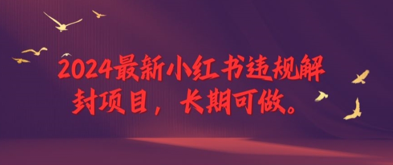 2024最新小红书违规解封项目，长期可做，一个可以做到退休的项目【揭秘】-乐码云集
