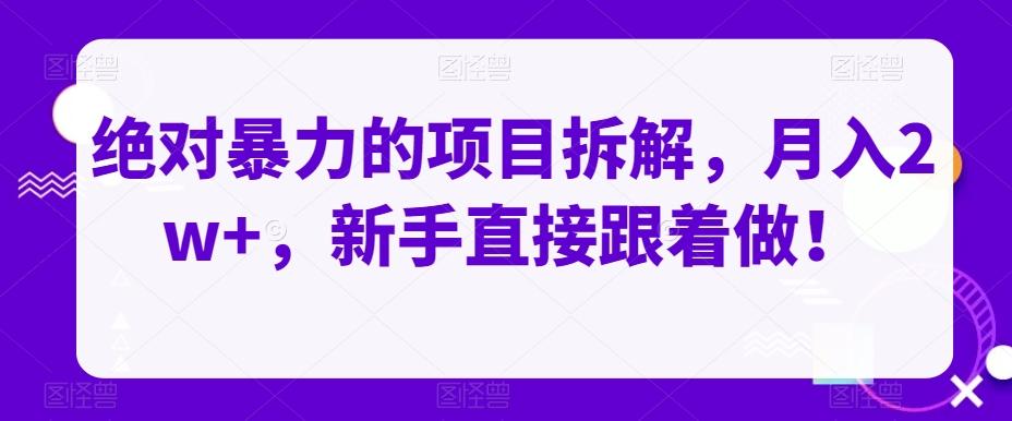 绝对暴力的项目拆解，月入2w+，新手直接跟着做！-乐码云集